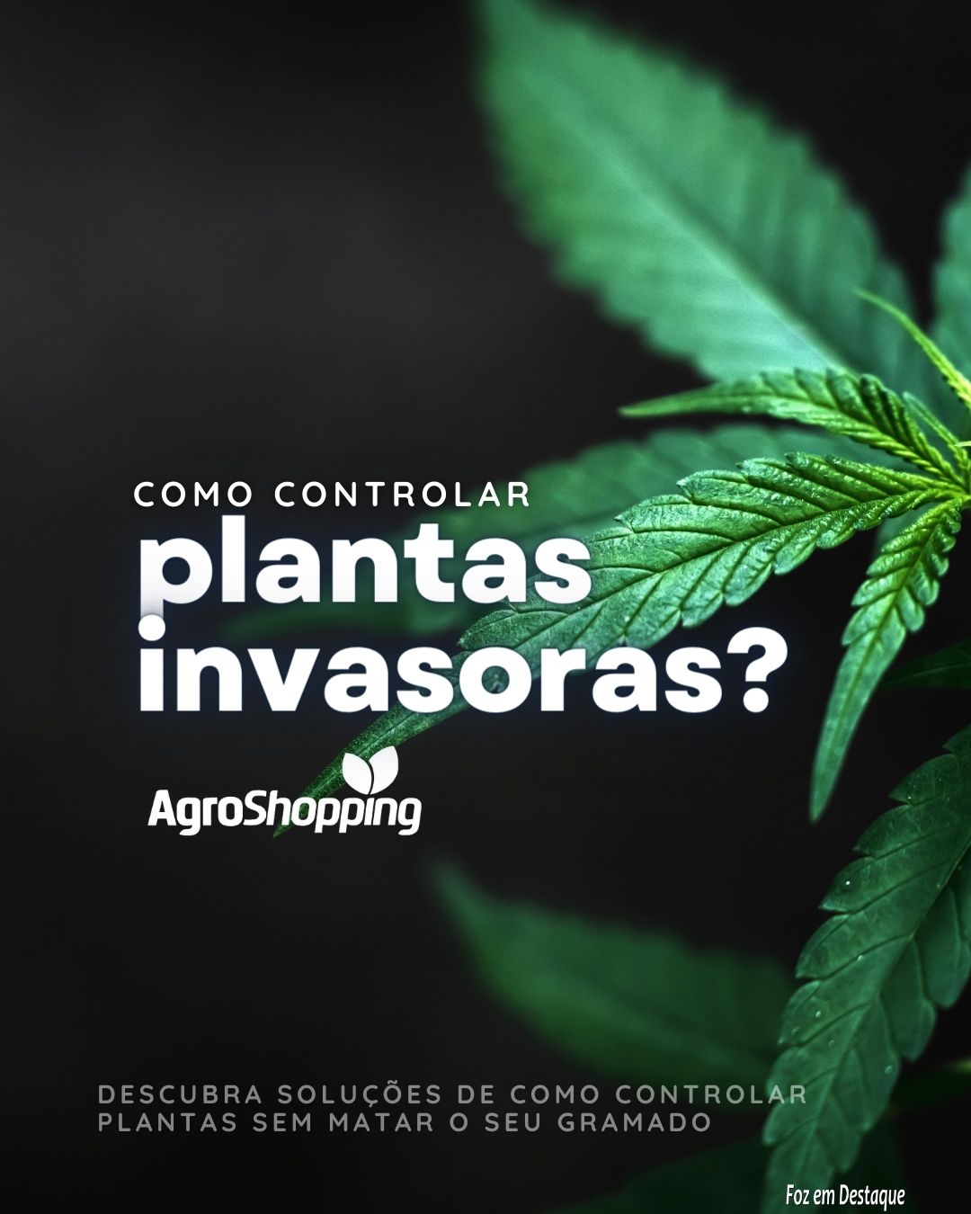 Como controlar plantas invasoras? AgroShopping